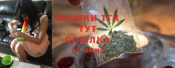 прущие грибы Ступино