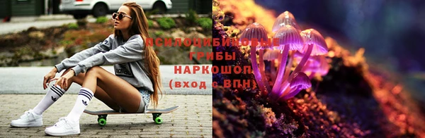 прущие грибы Ступино