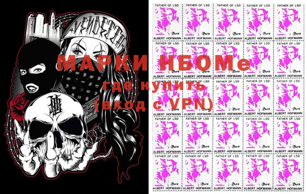 прущие грибы Ступино